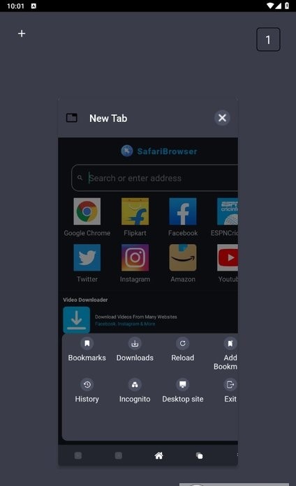 最新版本的Safari浏览器应用程序