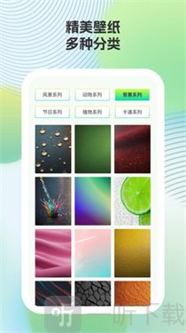 小鹿壁纸新版