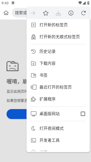 Kiwi浏览器中文