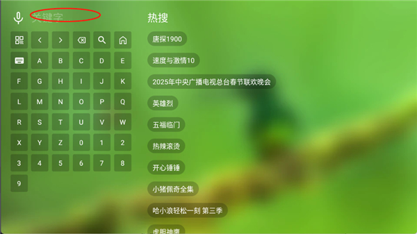 幻彩影视4G