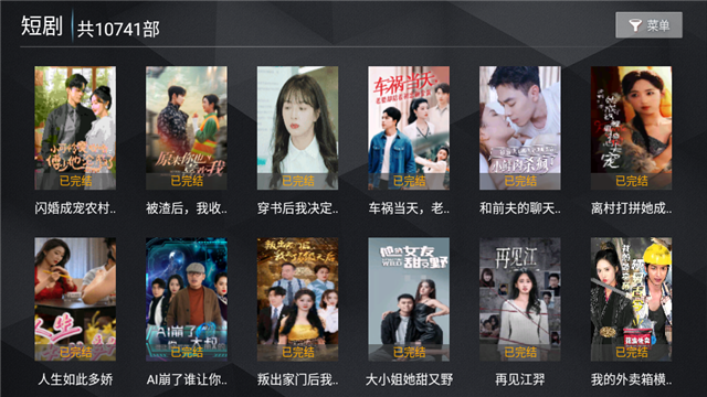大头极简TV