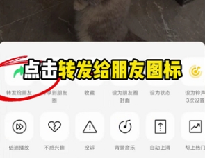 快存图