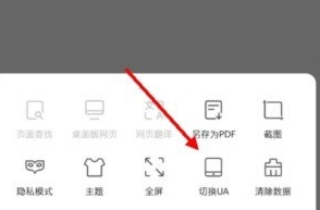 Pure浏览器pro版
