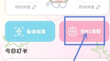 BMI体重日记本