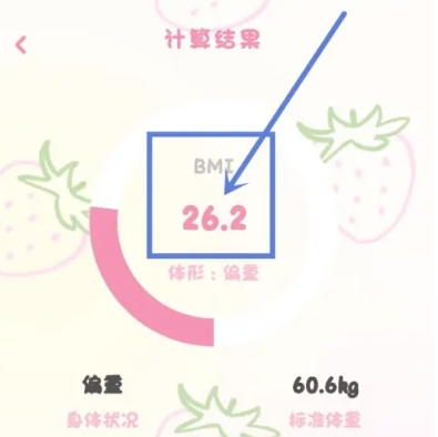 BMI体重日记本