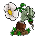 植物大战僵尸bt拓展版安卓版