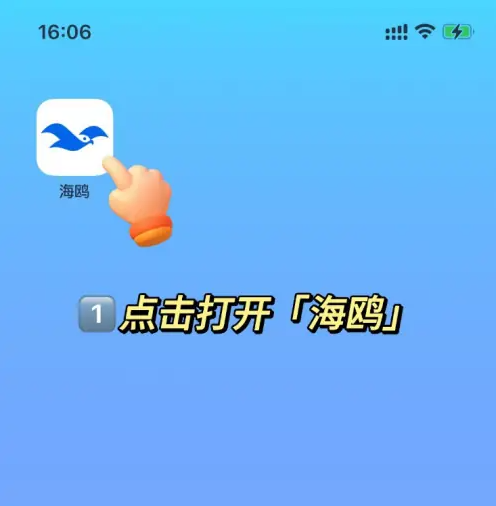 海鸥聊天