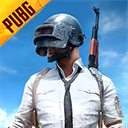 pubg体验服国际服