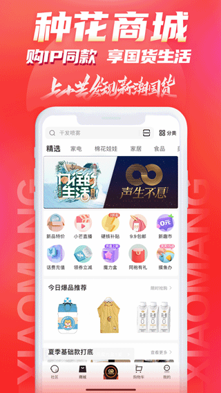 小芒电商