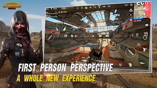 pubg国际体验服