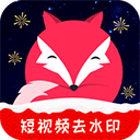 飞狐视频去水印