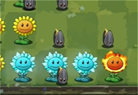植物大战僵尸转基因版官方版