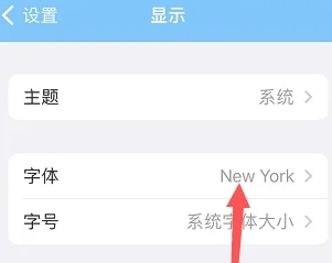Day One高级版