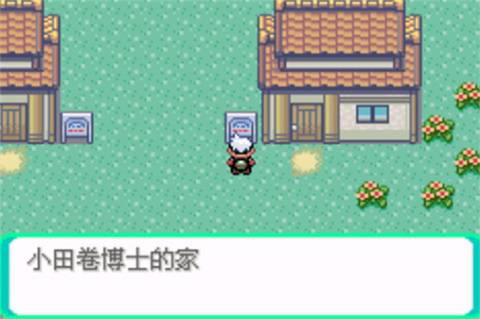 口袋妖怪传说绿宝石手机版