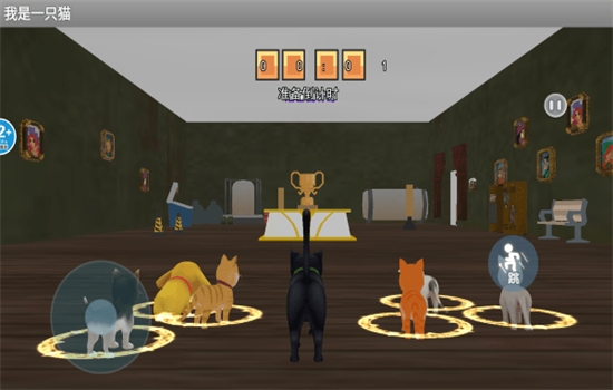我是猫官方版