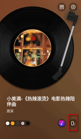 谜底黑胶免费版