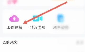 西影视频平台