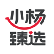 小杨臻选