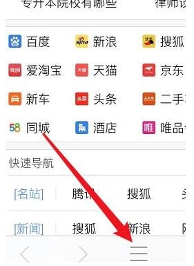 指尖浏览器专业版