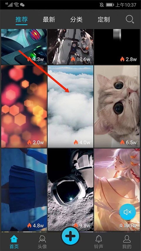 彩蛋视频壁纸免费版