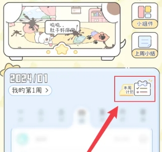 口袋周计划打卡