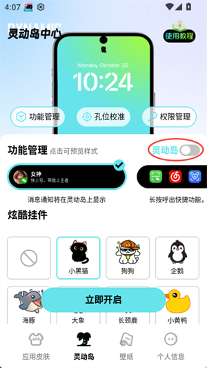 灵动皮肤小组件
