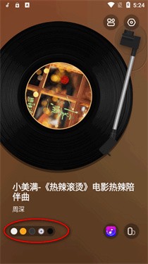 谜底黑胶音乐