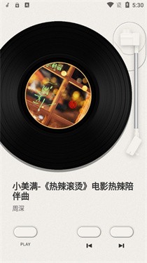 谜底黑胶音乐