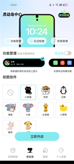灵动皮肤小组件