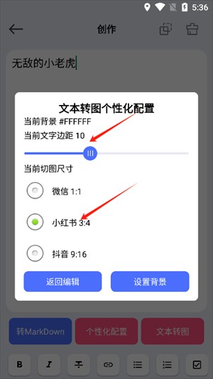DS文本转图片工具