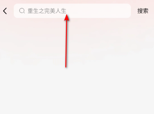 番喜免费小说