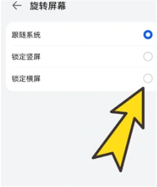 BOBO浏览器无国界