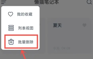 懒猫笔记本日记