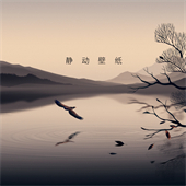 静动壁纸