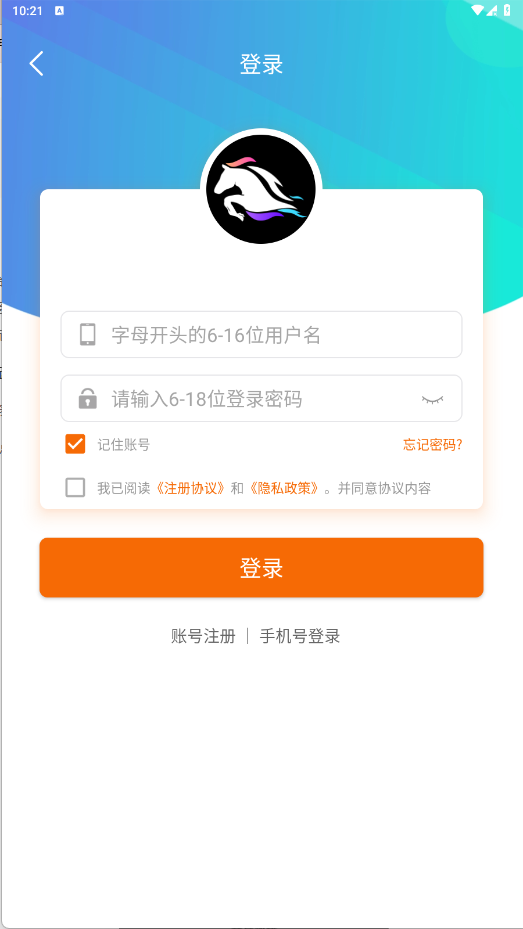 赛马趣玩