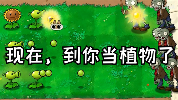 植物大战僵尸复杂版