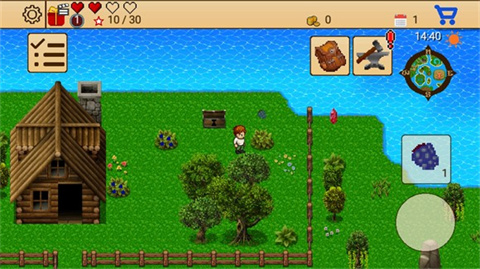 生存RPG5：海盗冒险之旅