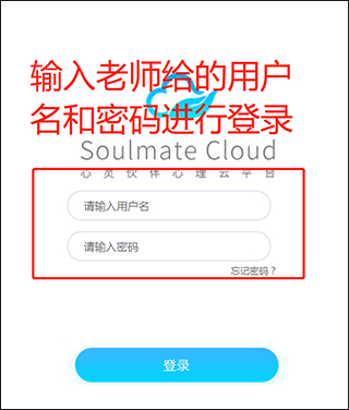 心灵伙伴云平台