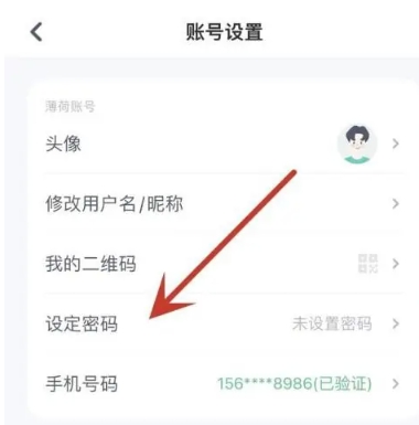薄荷健康减肥