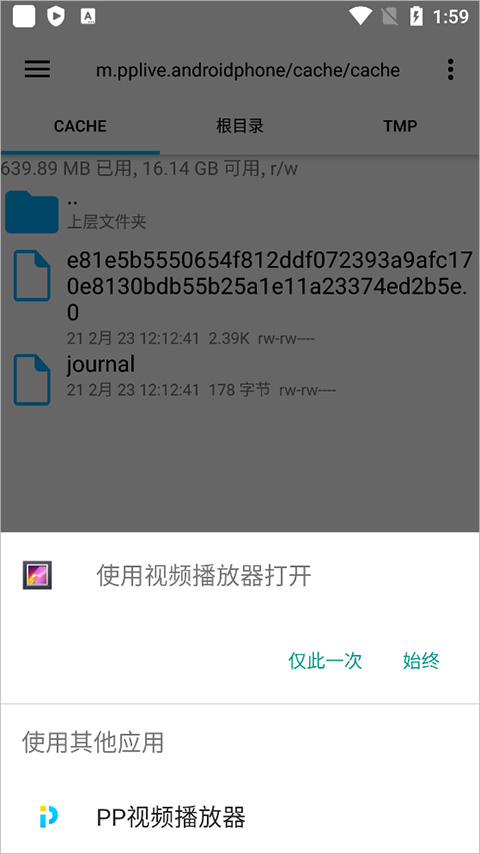 PP视频文件路径