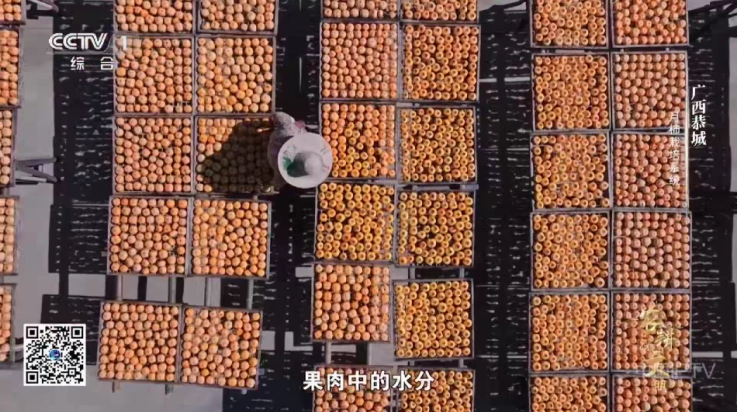 清风TV电视版