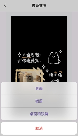 喵喵桌面小组件