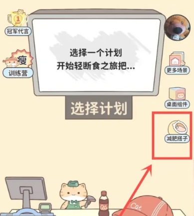喵喵轻断食瘦身