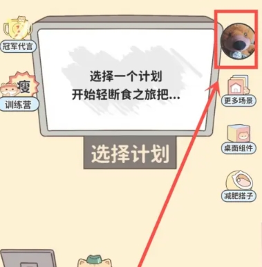 喵喵轻断食瘦身