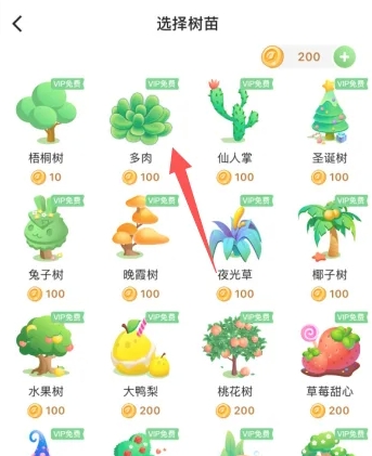打卡森林免费版