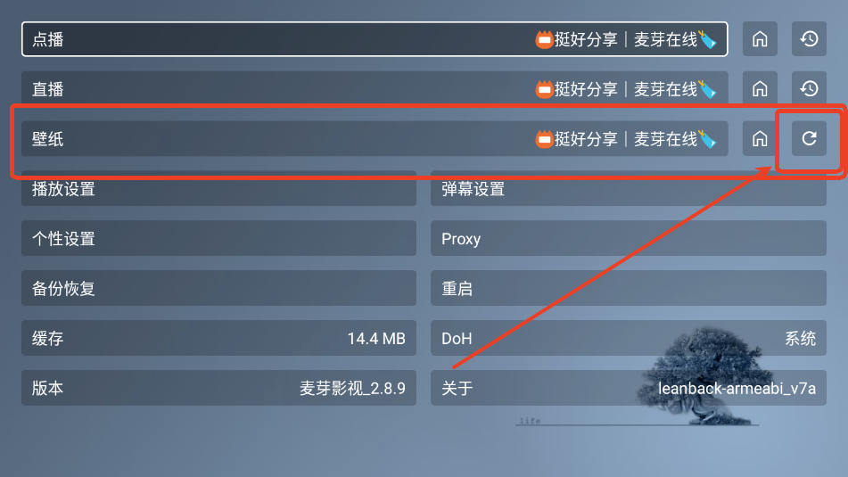 麦芽影视TV版