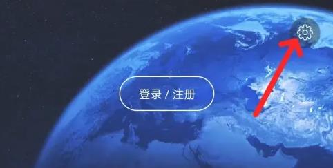 飞羽鸭
