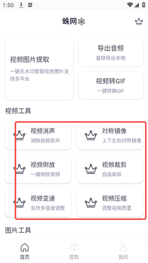 蛛网X