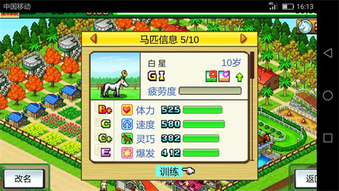赛马牧场物语官方版
