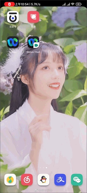 Webex会议